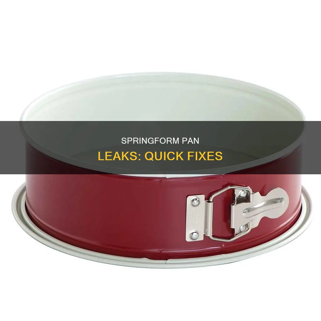 how to fix a leaky springform pan