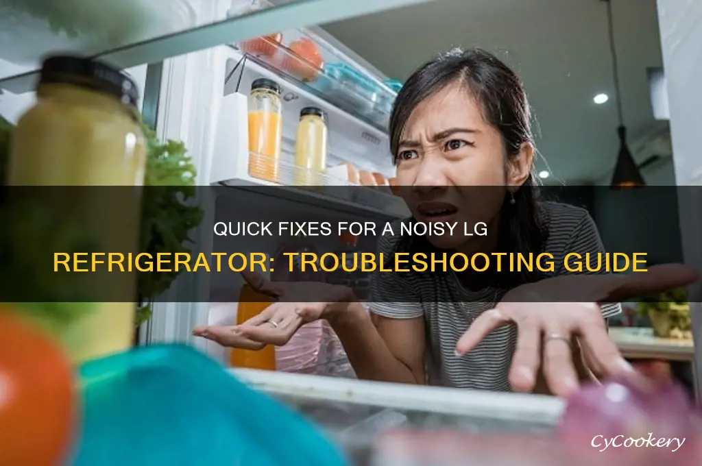 how to fix a noisy lg refrigerator