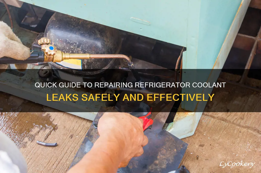 how to fix a refrigerator coolant leak