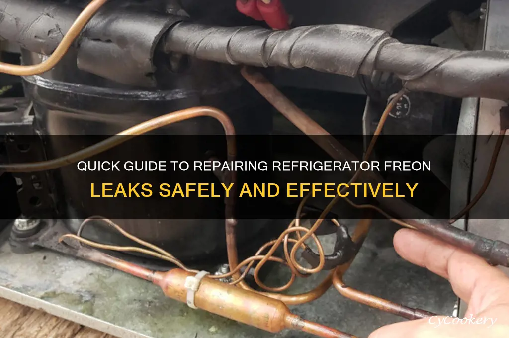 how to fix a refrigerator freon leak