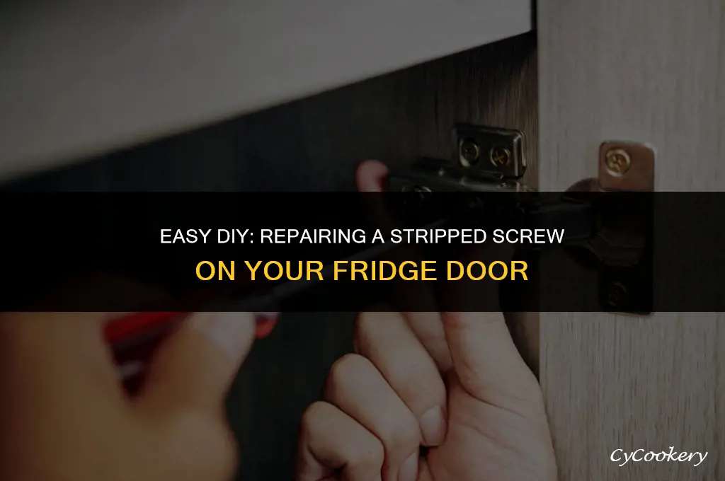 how to fix a stripped screw on refrigerator door