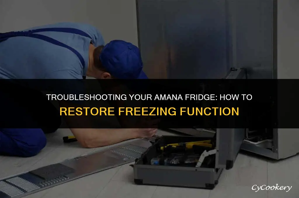 how to fix amana refrigerator that won