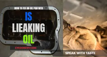 Fixing a Leaky Oil Pan: Stop the Oil Loss