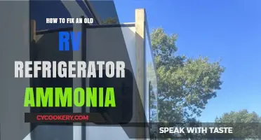 Reviving Your RV: A Guide to Fixing Ammonia Refrigerators