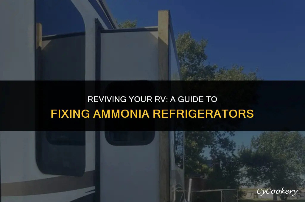 how to fix an old rv refrigerator ammonia