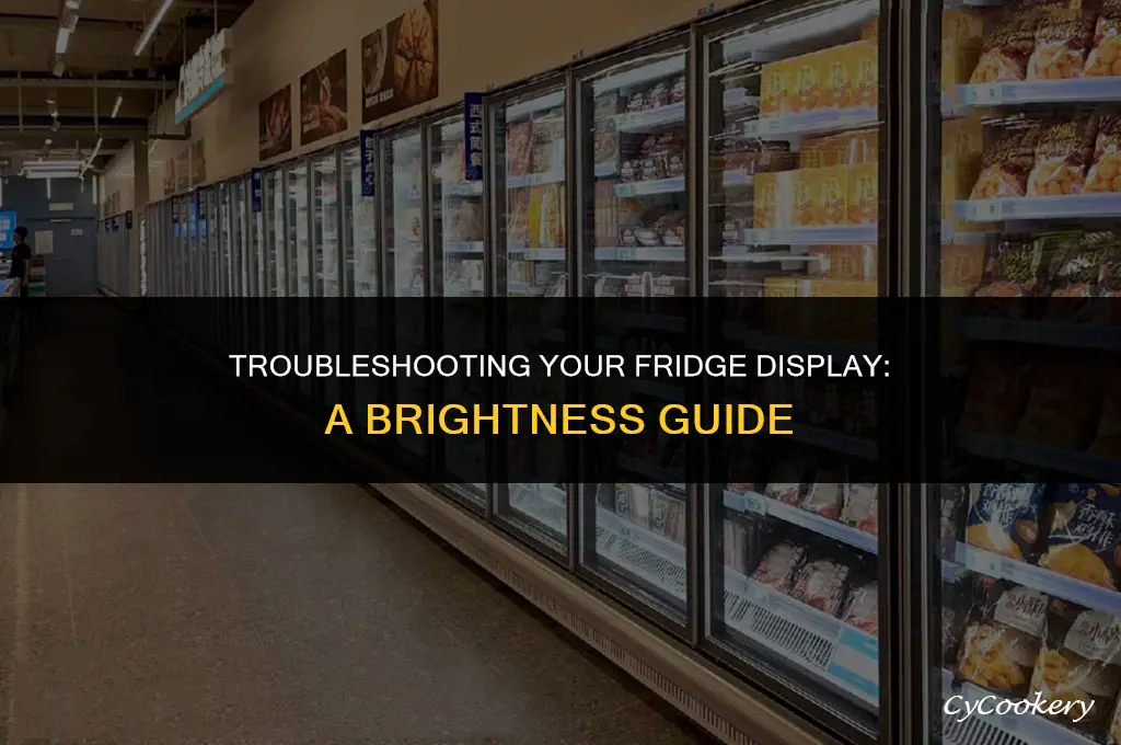 how to fix brightness of your refrigerator display