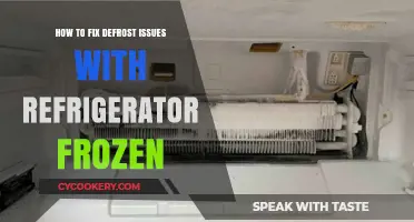Troubleshooting Frozen Woes: A Guide to Defrosting Your Refrigerator