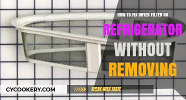 Quick Fix: Dryer Filter on Fridge Without Removal