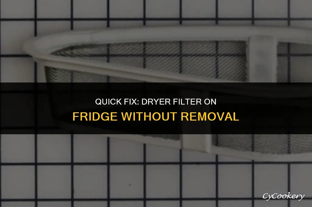 how to fix dryer filter on refrigerator without removing