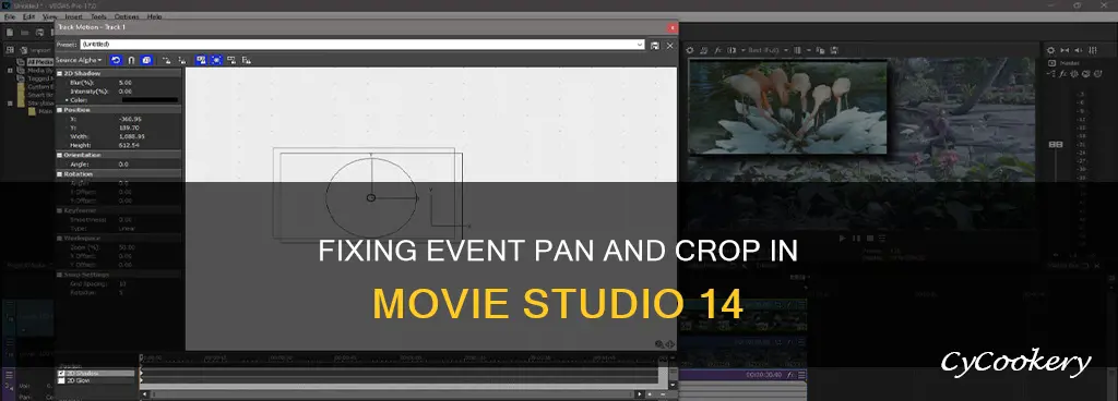 how to fix event pan and crop movie studio 14