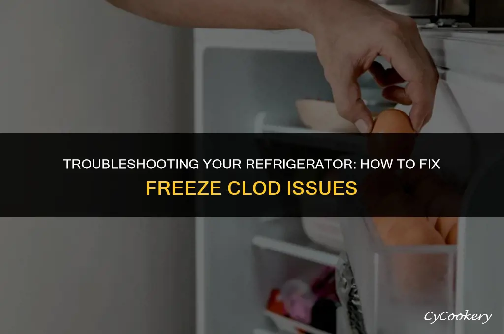 how to fix freeze clod refrigerator is not