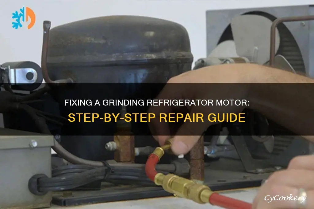 how to fix grinding motor on refrigerator