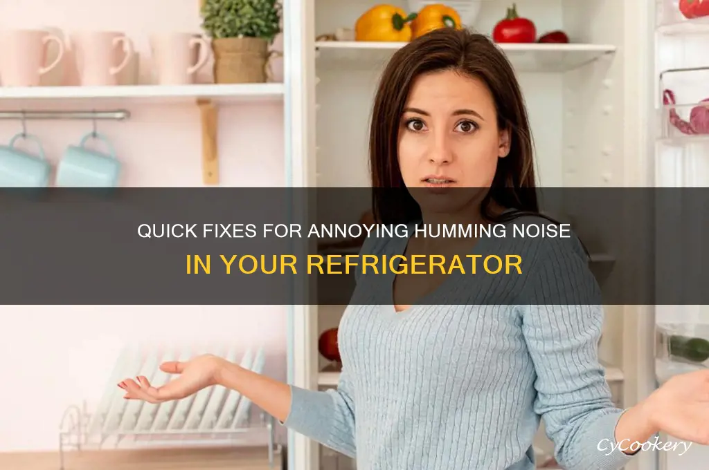 how to fix humming noise in refrigerator