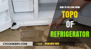 Quick Fix: Refrigerator Leaking from the Top? Try These Solutions!