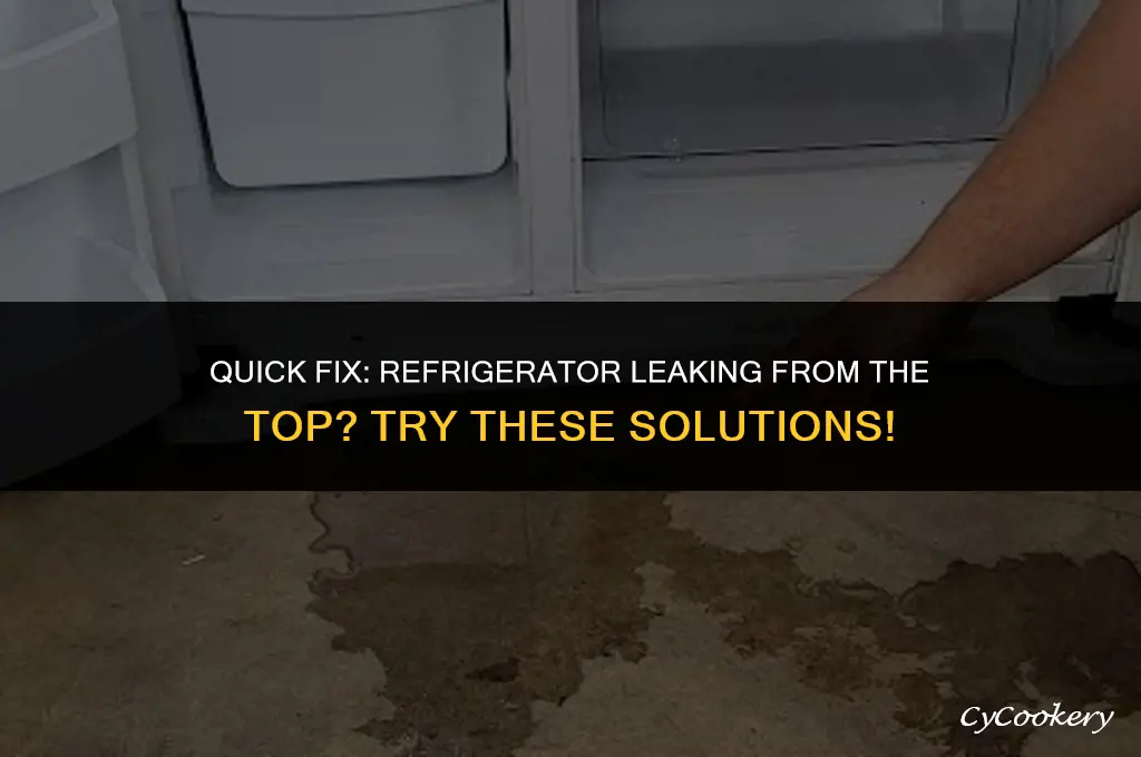 how to fix leak from topo of refrigerator