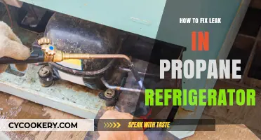 Quick Fixes for Propane Refrigerator Leaks: A Step-by-Step Guide