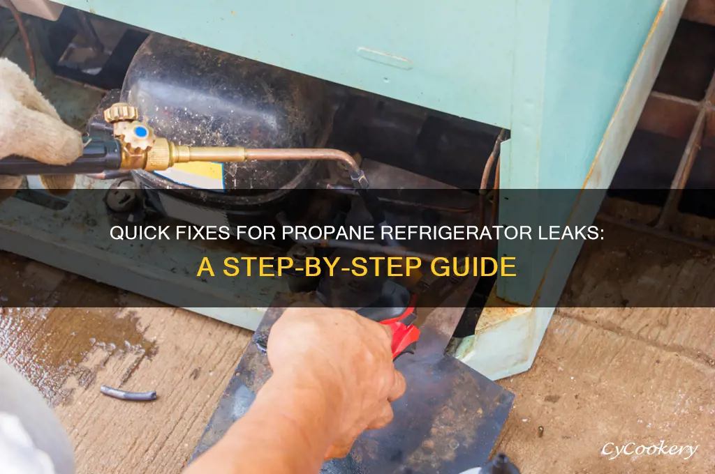 how to fix leak in propane refrigerator