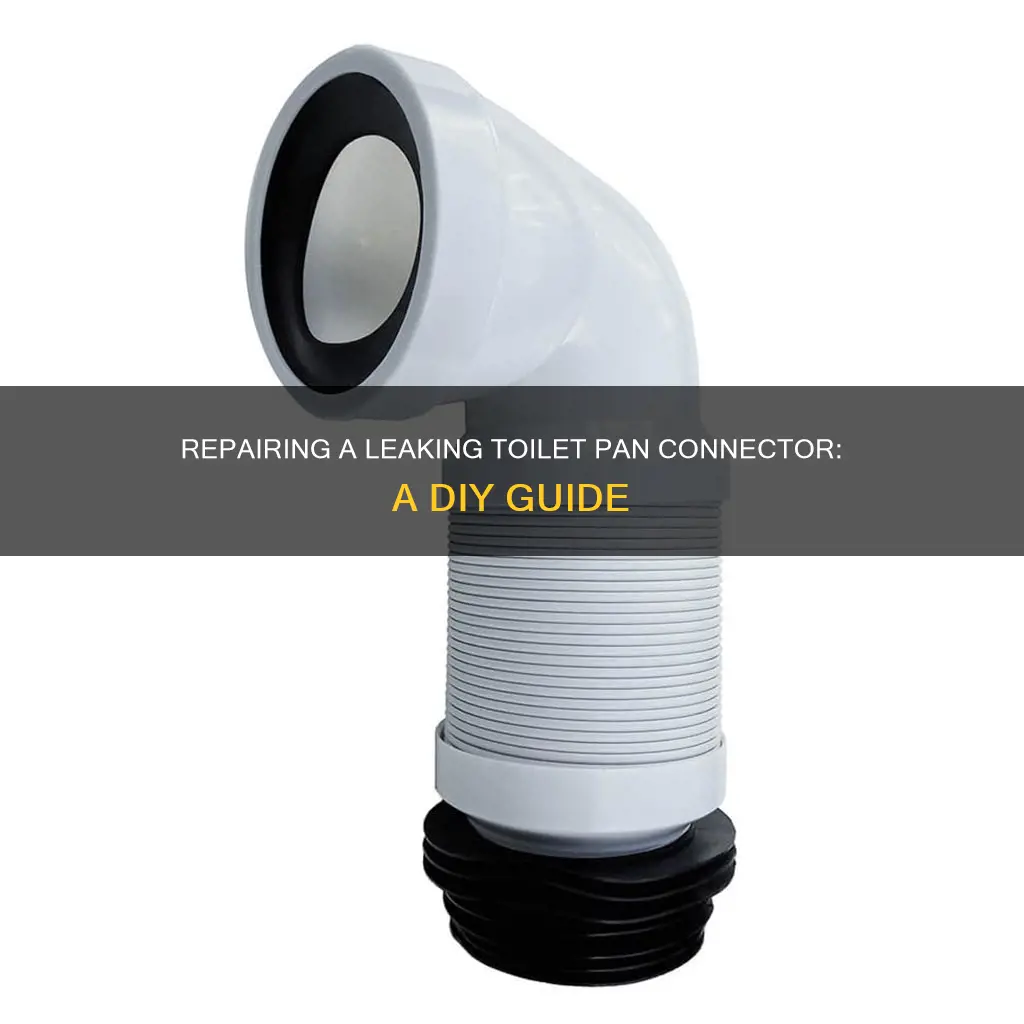 how to fix leaking toilet pan connector