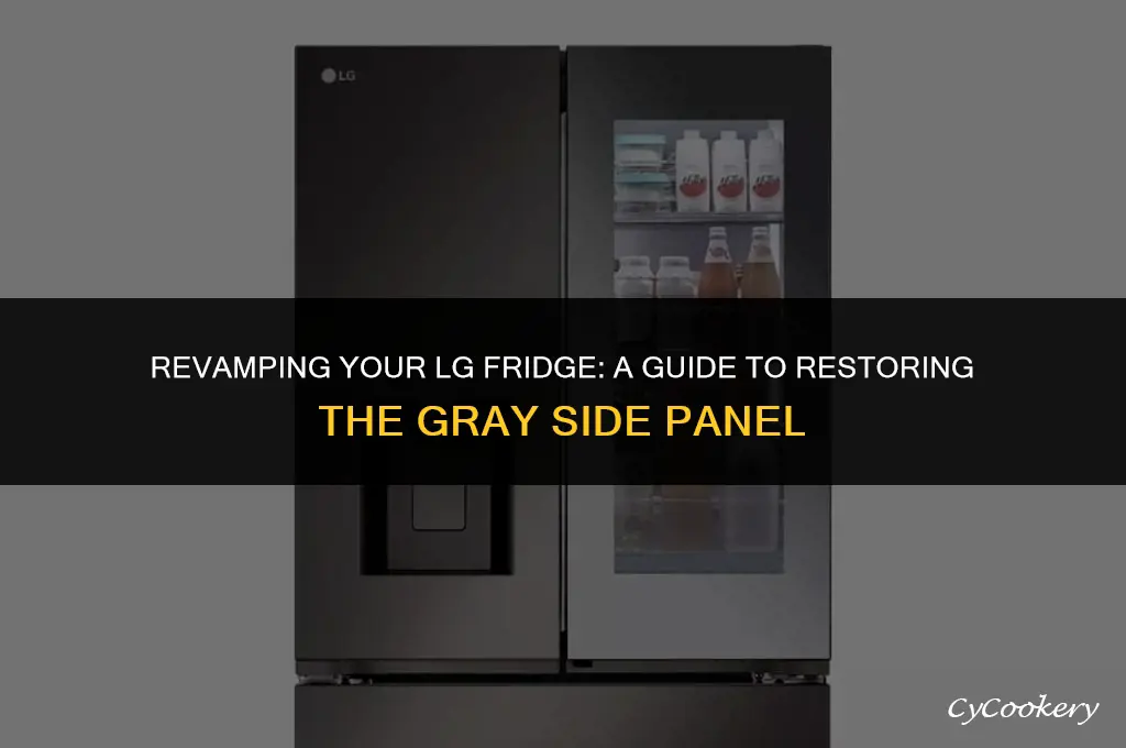 how to fix lg refrigerator gray side panel