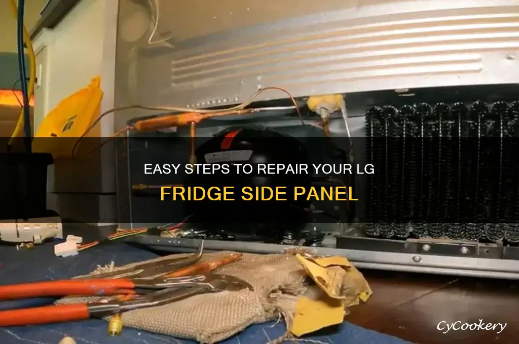 how to fix lg refrigerator side panel