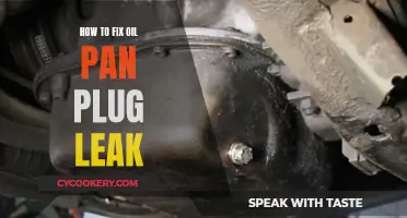 Fixing Oil Pan Plug Leaks: DIY Guide to Stop Leaks