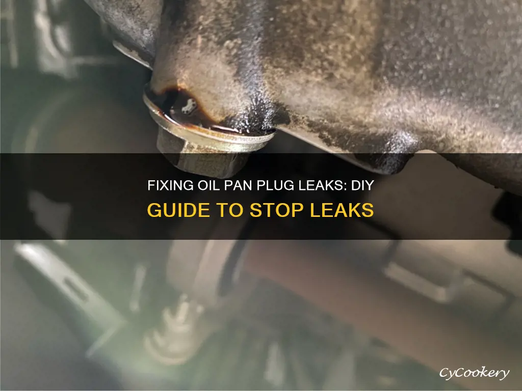 how to fix oil pan plug leak