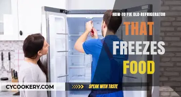 Revive Your Old Fridge: Troubleshooting Frozen Food Issues