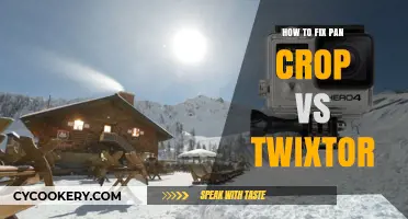Fixing Pan Crop and Twixtor: The Ultimate Guide