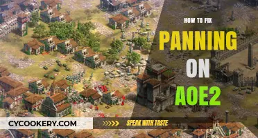 Fixing Panning in AoE2: A Guide to Smooth Camera Movement