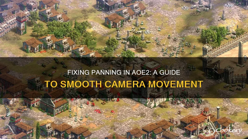 how to fix panning on aoe2