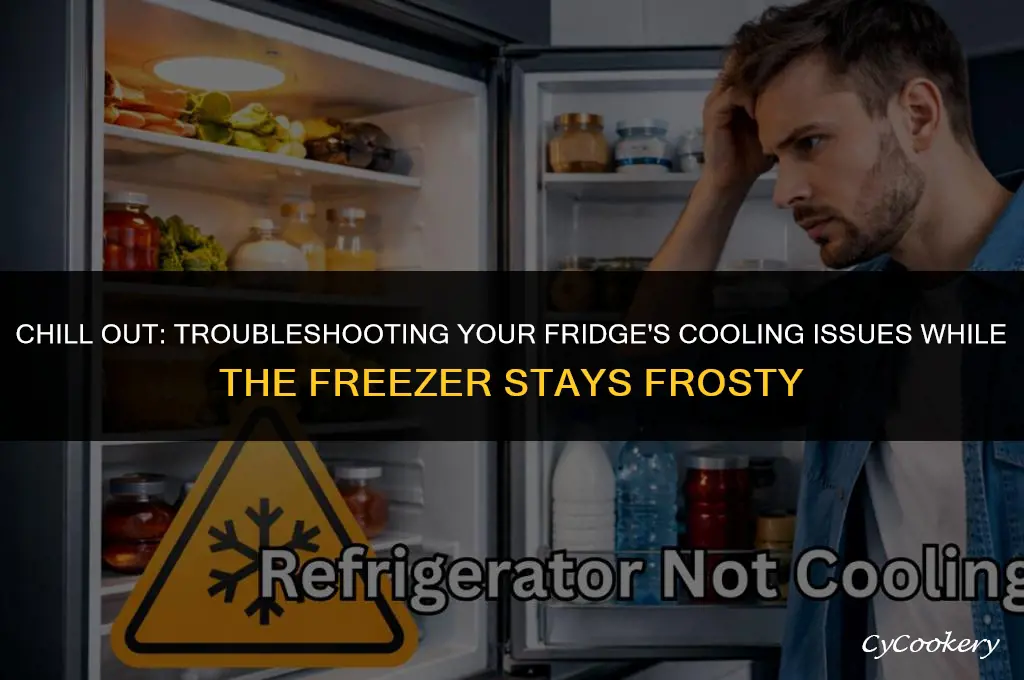 how to fix refrigerator not cooling but freezer works