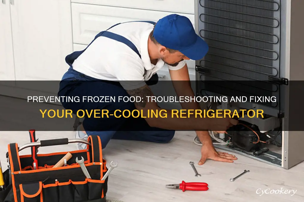 how to fix refrigerator that freezes food