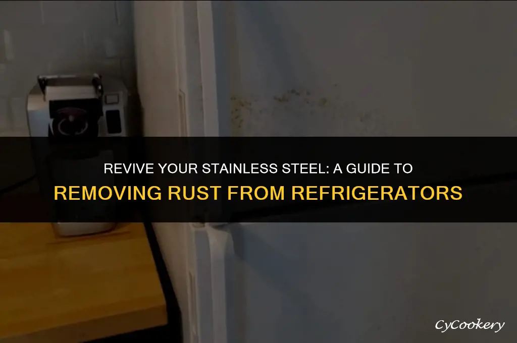 how to fix rust on stainless steel refrigerator