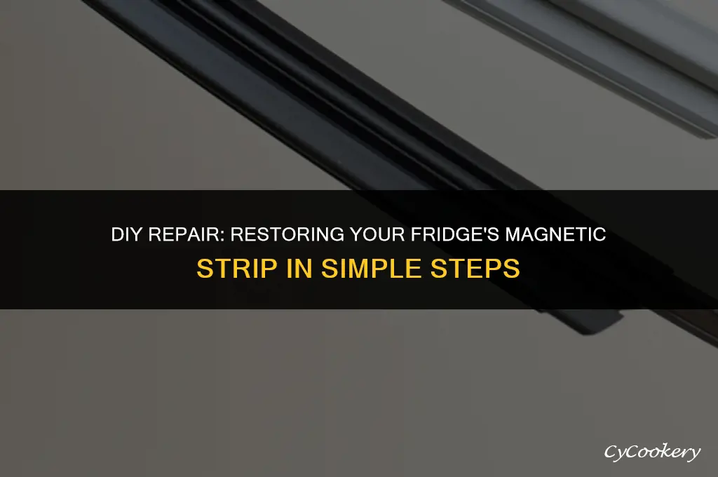 how to fix the magnetic strip on a refrigerator