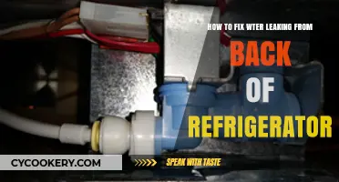 Solving Water Leaks from the Back of Your Refrigerator: A DIY Guide