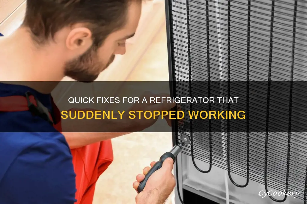how to fixba refrigerator that turned off