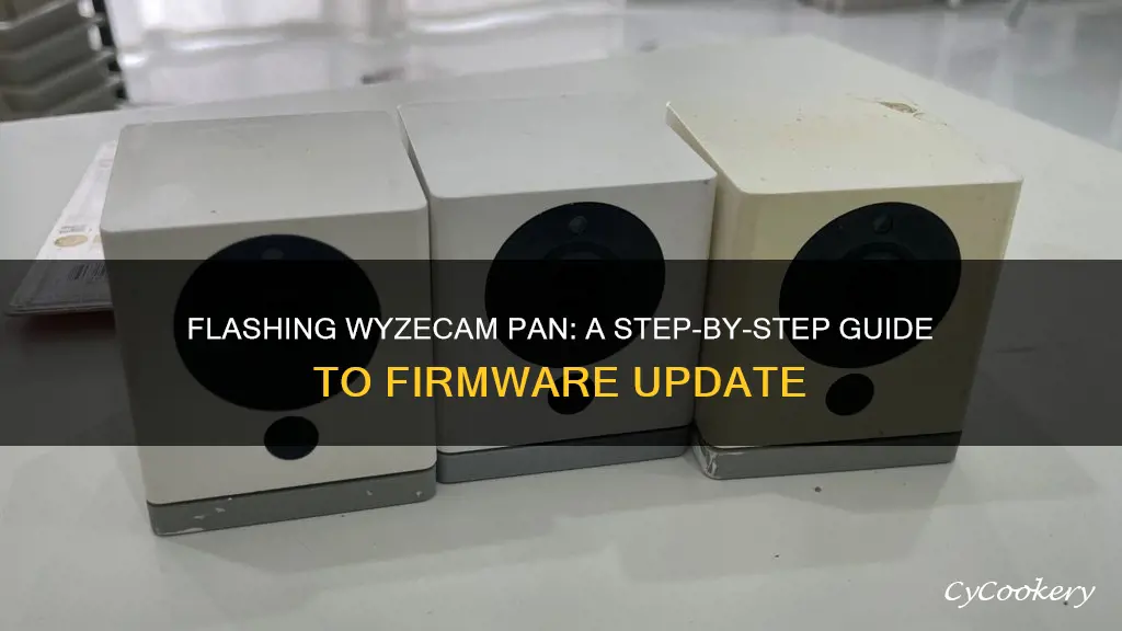 how to flash firmware on wyzecam pan