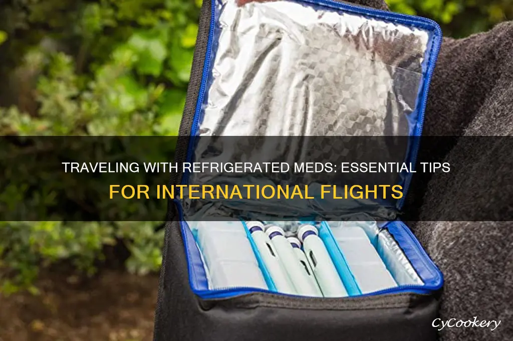 how to fly abroad with refrigerated medication