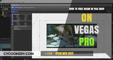 Free Roaming in Pan Crop: Vegas Pro Guide