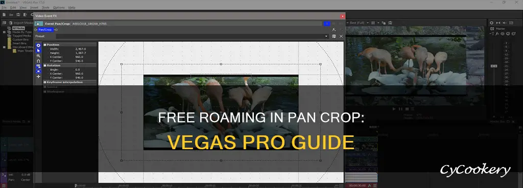how to free roam in pan crop on vegas pro