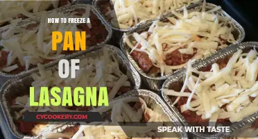 Freezing Lasagna: Best Way to Preserve Your Favorite Dish