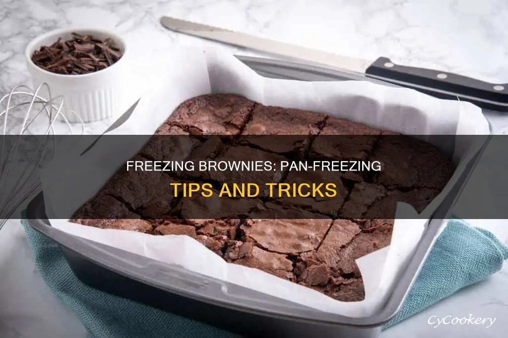 how to freeze brownies in the pan