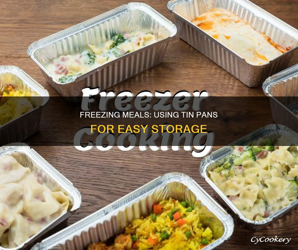how to freeze meals in tin pans