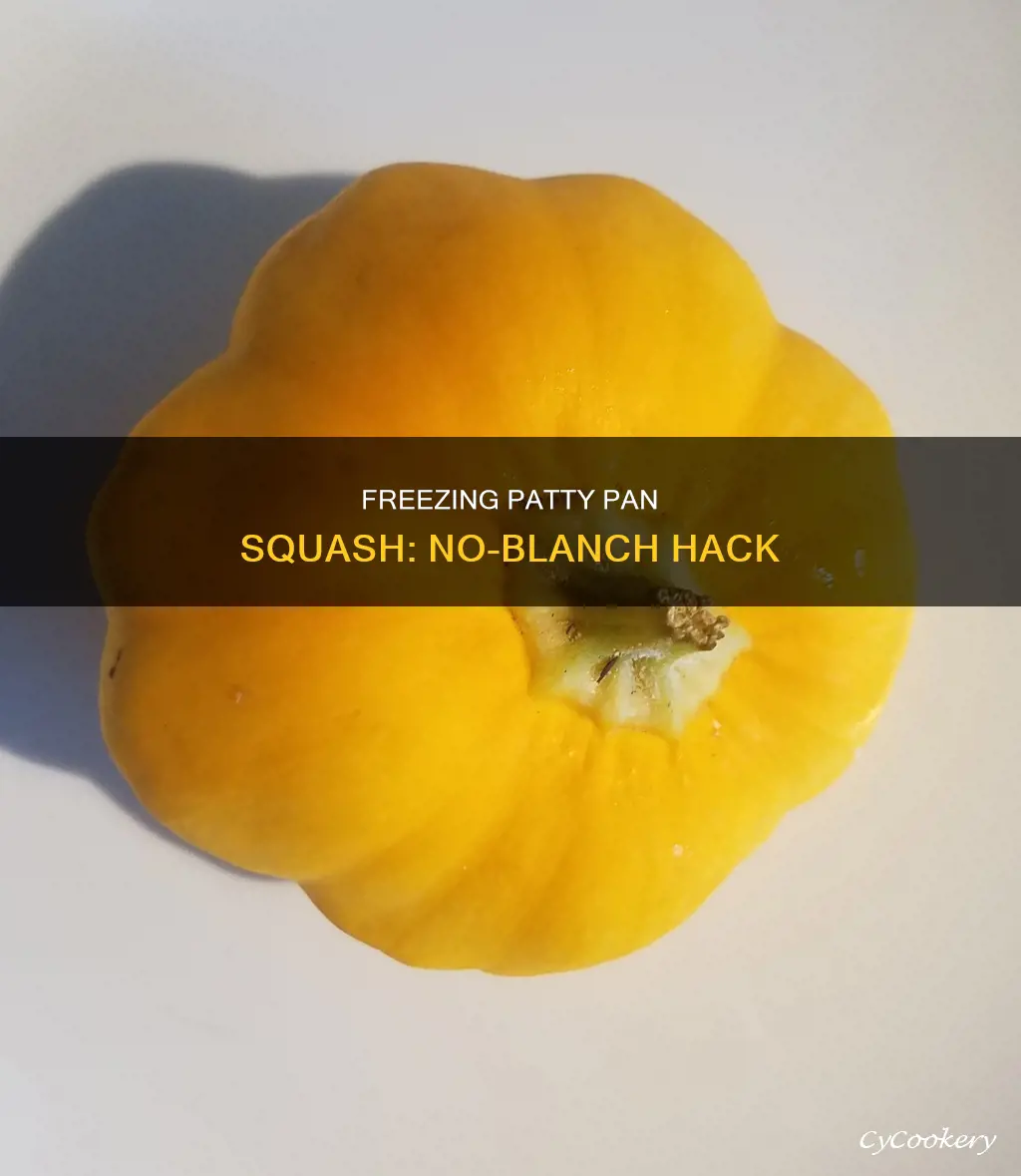 how to freeze patty pan squash without blanching