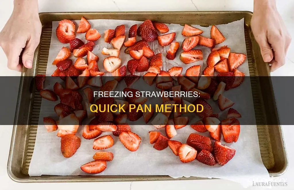 how to freeze strawberries on pan