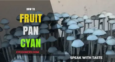 Fruit Pan Cyan: The Ultimate Guide