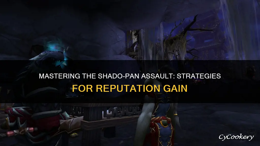 how to gain rep with shado pan assault