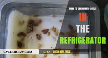 Chill and Sprout: Refrigerator Seed Germination Guide for Gardeners