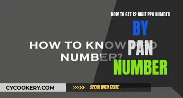 Finding Your PPO Number: PAN-Linked 12-Digit Access