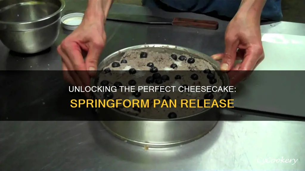 how to get a cheesecake out of a springform pan